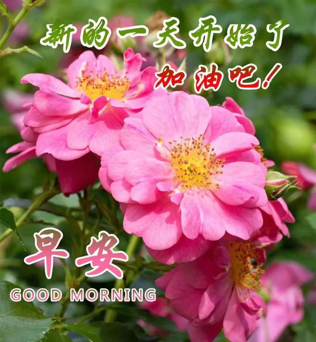 星期三早安问候祝福精选图文_平安_开心_吉祥