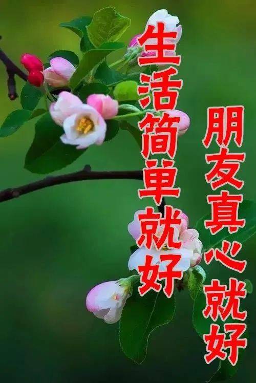 4月15日最新早上好表情包图片大全,早上好问候祝福语_人生_心情_日子