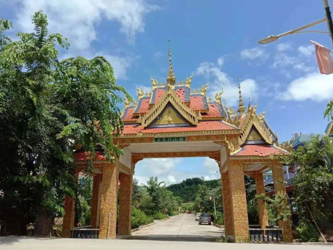 "花"——勐腊县关累镇坝荷村现代化边境幸福村建设典型材料_治理_群众