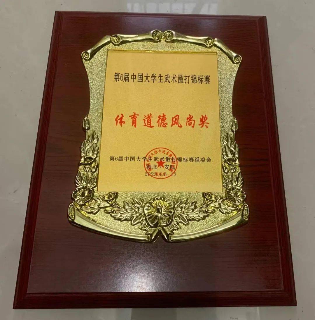 我院学生在第六届中国大学生武术散打锦标赛中喜获佳绩_比赛_全国