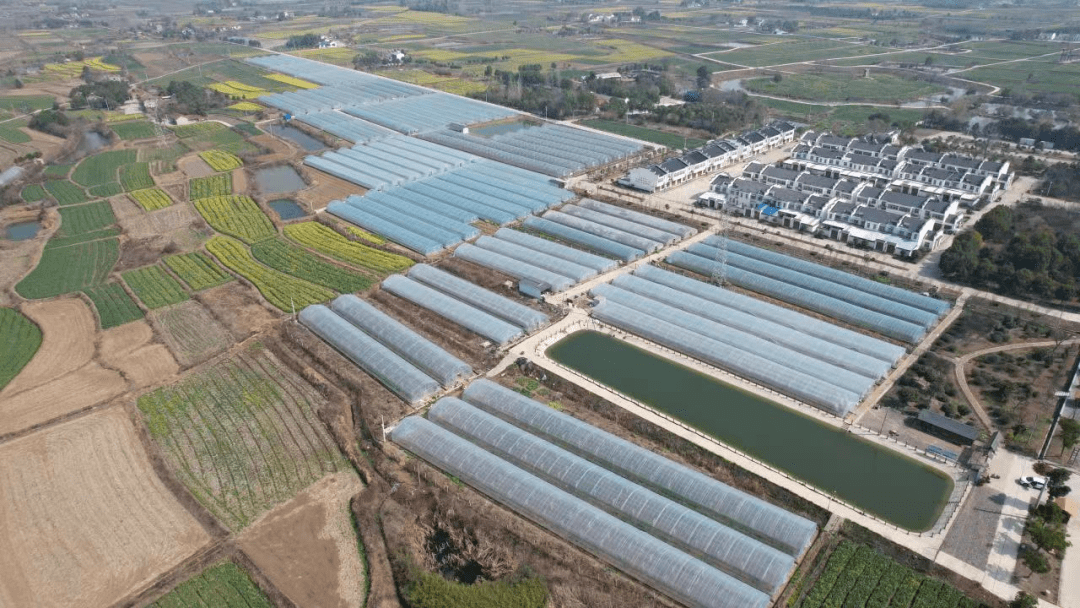 沙洋县曾集镇 | 聚力文旅产业 助力"文旅兴镇"_张池_乡村旅游_游客