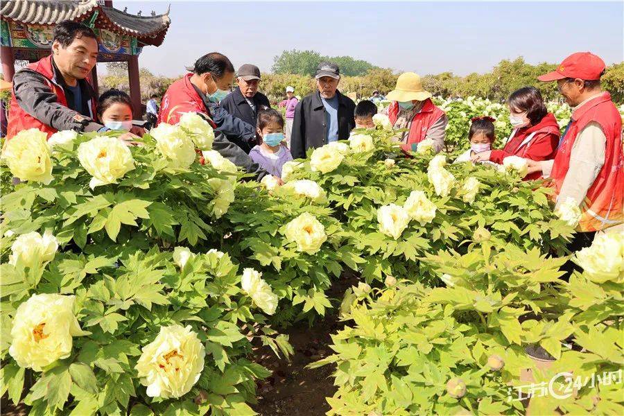 江苏24小时·滚动推送｜在春天里激情奔驰 多场马拉松赛鸣枪开赛