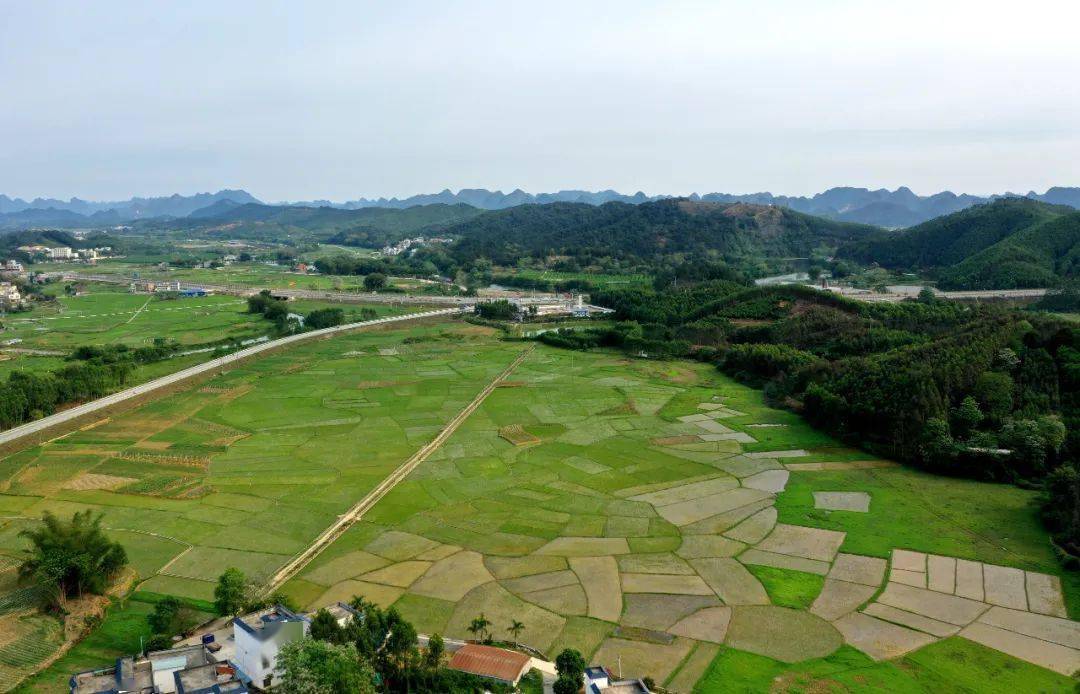 乡风文明丨上林县明亮镇石奇庄:以乡风文明助推乡村振兴_村庄_村民