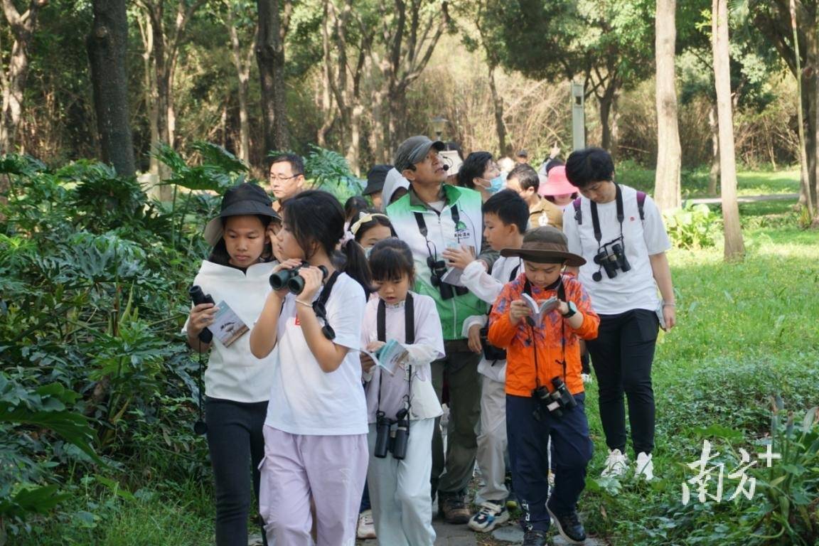 捕捉生态灵动之美，亲子家庭在松山湖开启“寻鸟之旅”