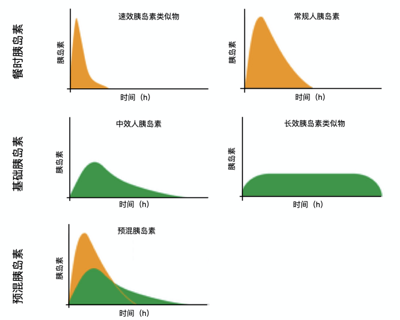 正常胰岛素分泌曲线图图片