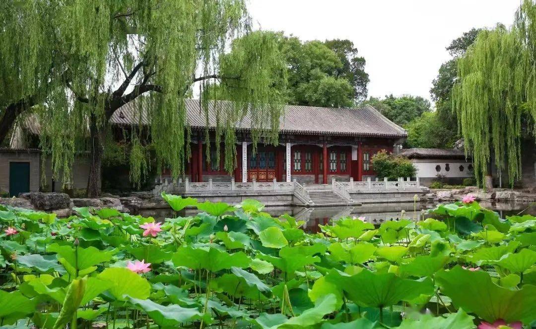 高考倒计时50天!与你一同迈入清华的「门」