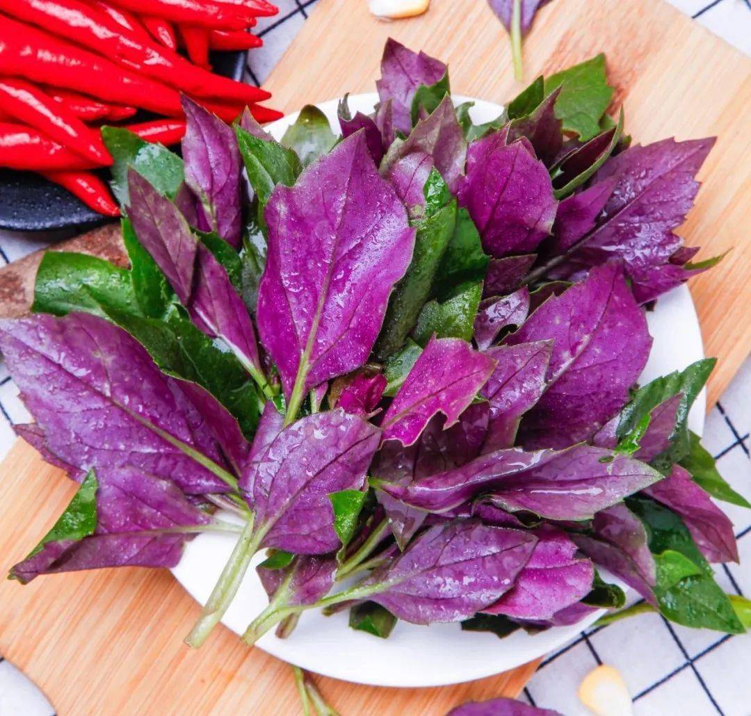 芳草百味 | 一面绿色一面紫色的野菜,清热解毒,还降血压