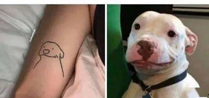 被吓到了,狗子化身"班主任",趴窗口偷偷盯我._内存_时候_照片