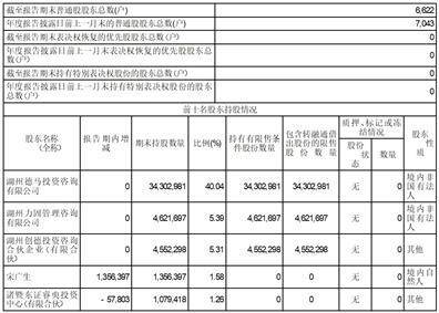 德马科技集团股份有限公司2022年度陈述摘要