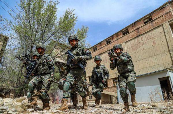 立体打击 梯次后撤:直击武警实战化战术演练_检验_综合_背景