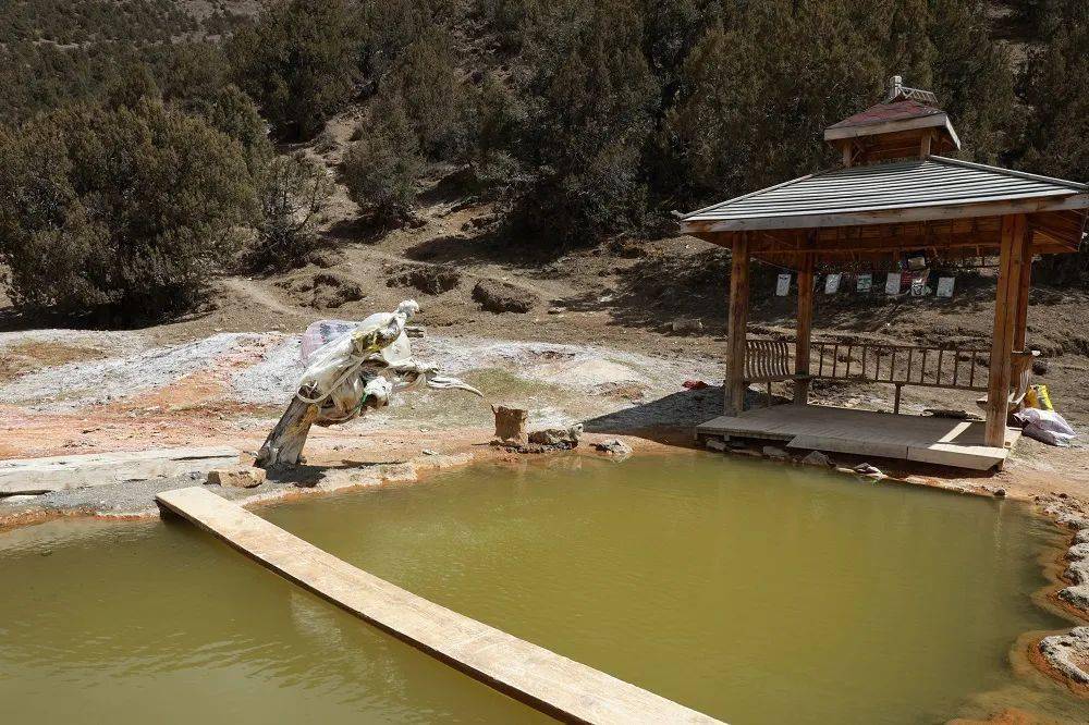 囊谦县尕羊乡色青村:温泉文旅创新业态 合作社致富新牧人_发展_村民