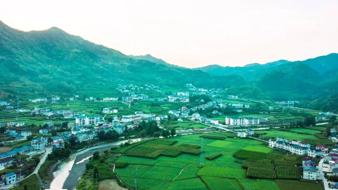 房县中坝乡白酒小镇建设托起"振兴之海"_集镇_品牌_全乡
