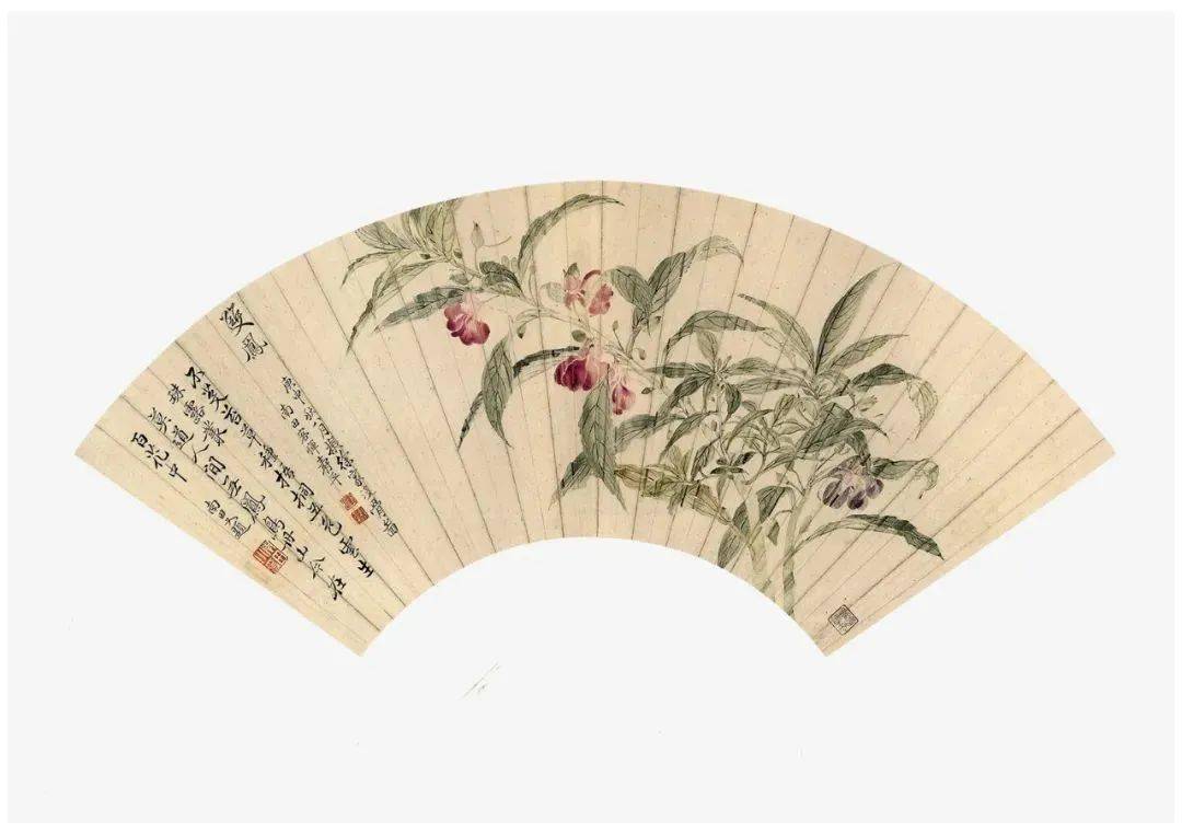 明★ 惲 寿平 花卉扇面 原寸★ 故宮博物院 二玄社 中国 扇面画 古玩 明☆ 惲 寿平 花卉扇面 原寸☆ 故宮博物院 二玄社 中国 扇面画 古玩