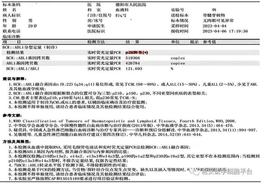 外周血涂片报告单模板图片