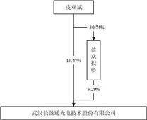 武汉长盈通光电手艺股份有限公司2022年度陈述摘要