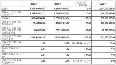 湖北华强科技股份有限公司2022年度陈述摘要