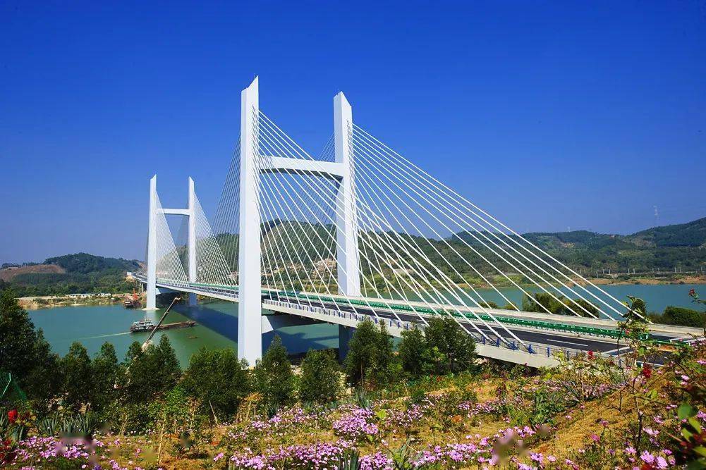 贵港苏湾大桥图片