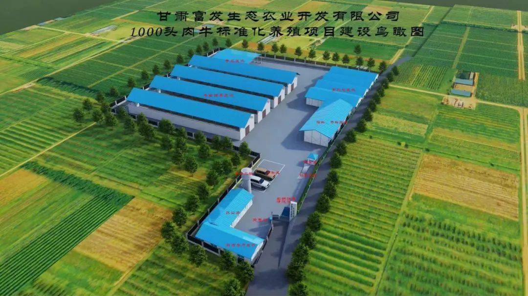 徽县:肉牛产业种养循环路 "犇"向幸福"牛"日子_发展_建设_养殖