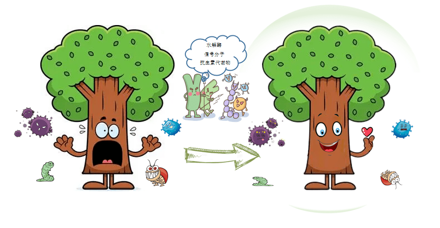 藏在植物里的"小人物"——植物内生菌丨旱域生灵_环境_生物_病原菌