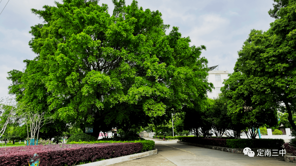 4月23日世界读书日|畅享书香韵味 遇见最美自己 ——定南三中开展校园