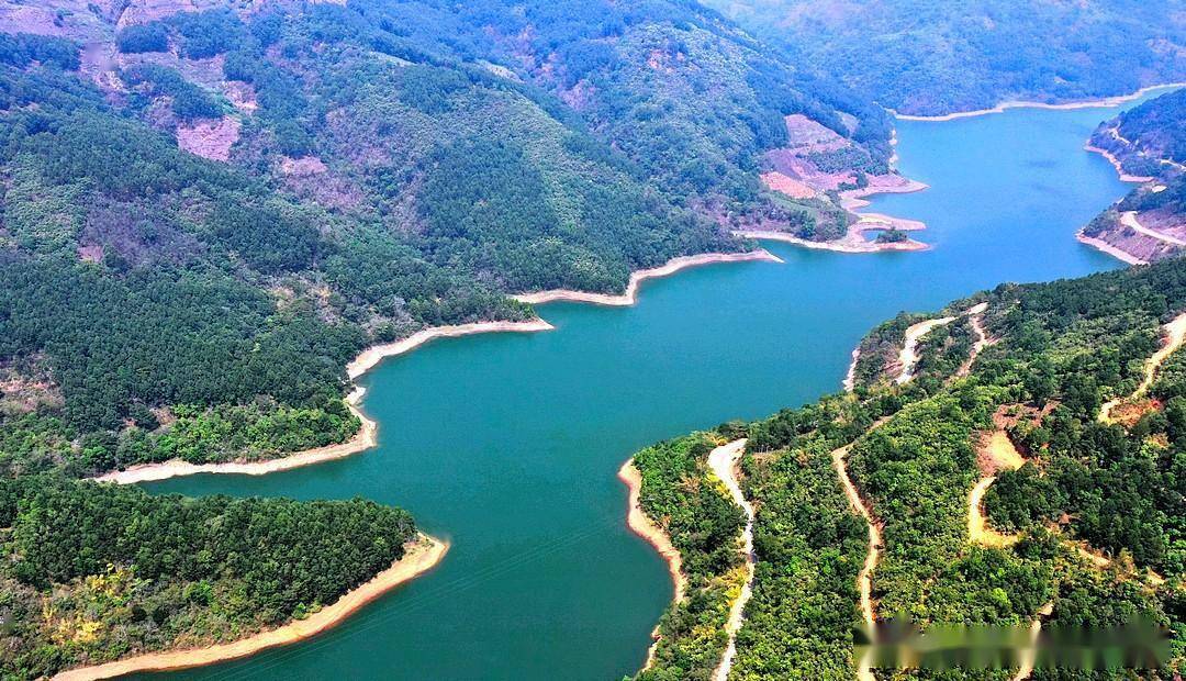 《双江行》探寻云南最贵山头茶——冰岛村(冰岛茶)_茶山_茶树_茶叶