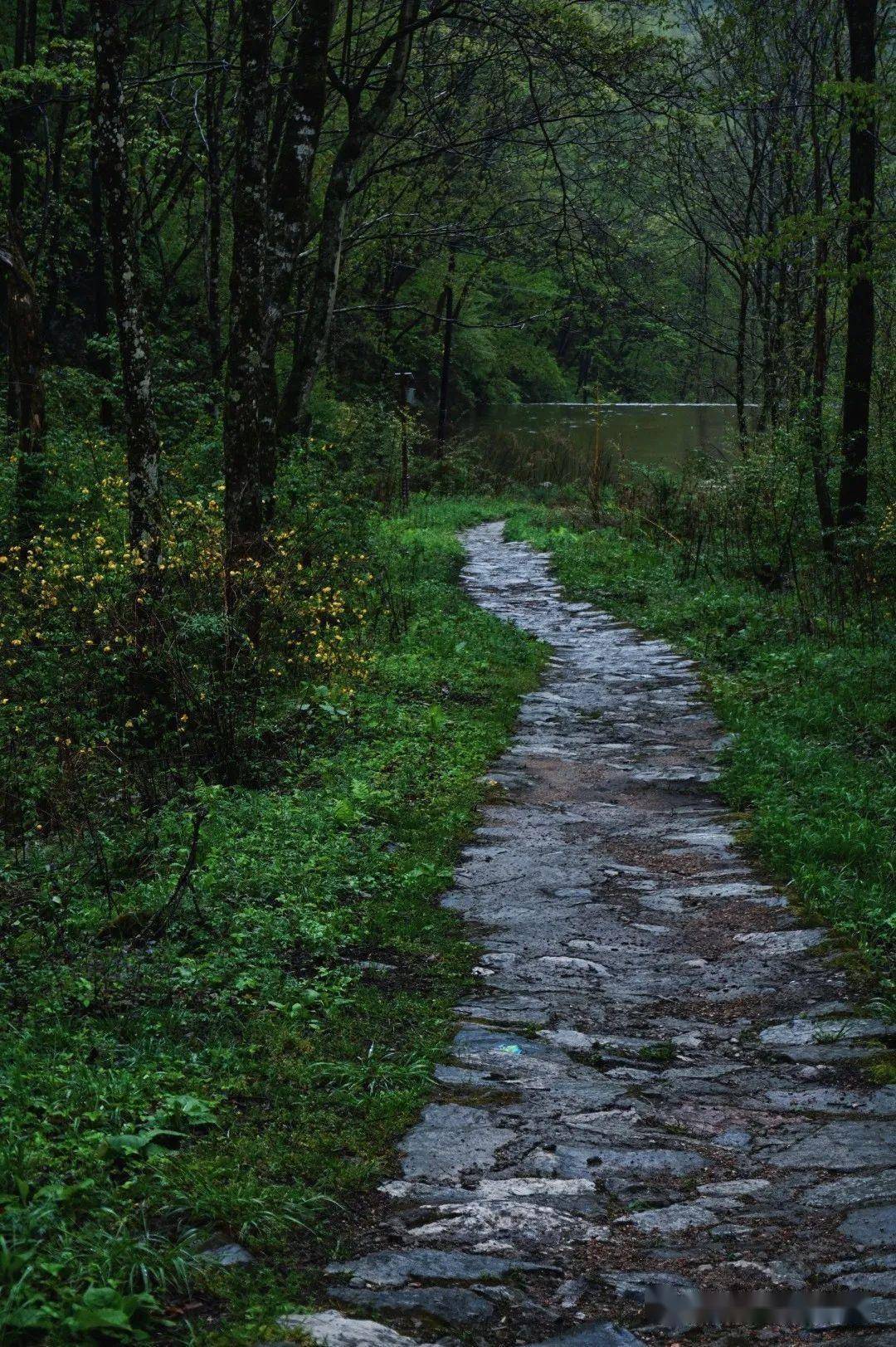 雨后的小河图片