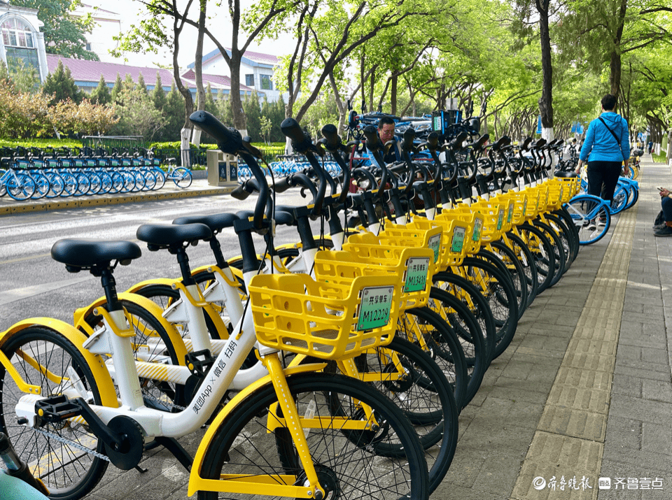 千佛山景区北门外,一排排整齐摆放的共享单车_济南_平松