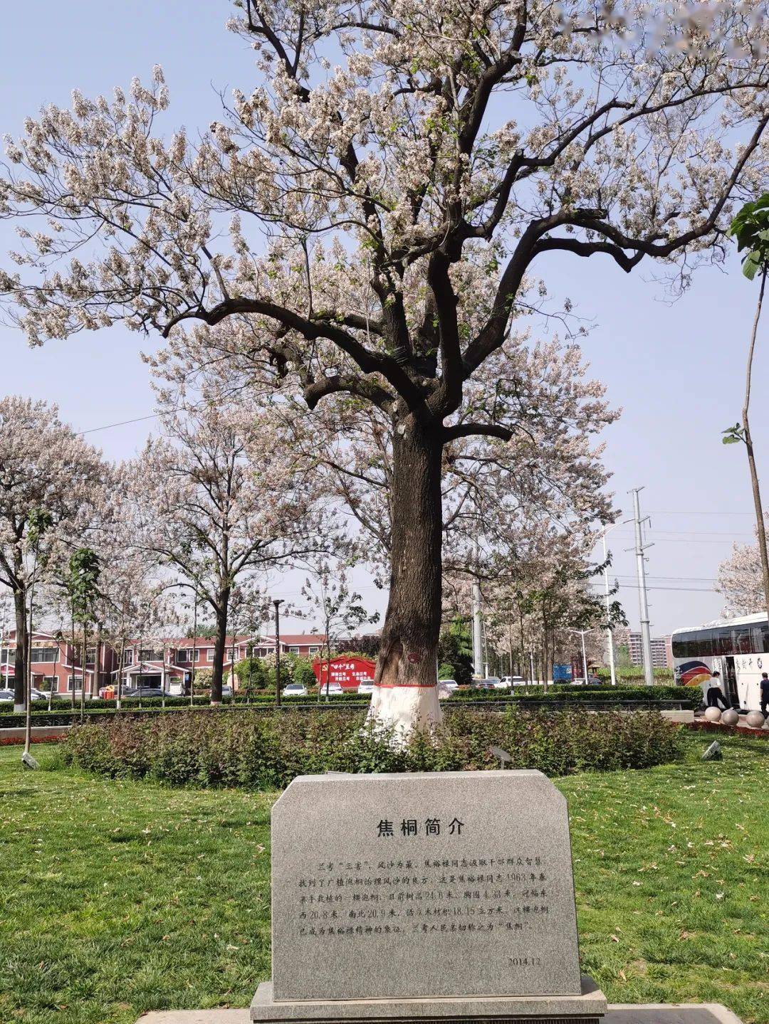 邹明:我的赶考之路_工作_兰考_文化