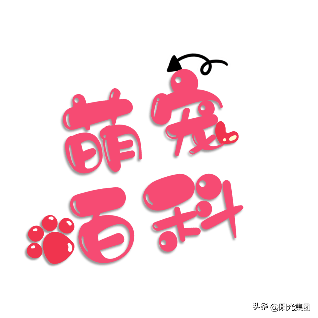 松鼠_豚鼠_荷兰