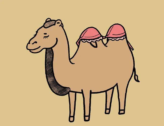 来看鸵鸟睡觉有多么不容易想问第二天起来脖子还好吗?