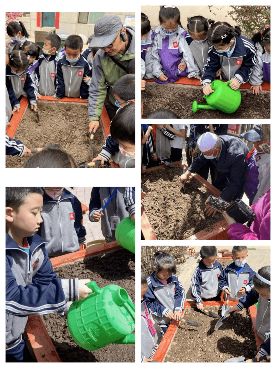 绽放劳动之花 遇见美好成长——西宁市大同街小学第一届播种节·劳动