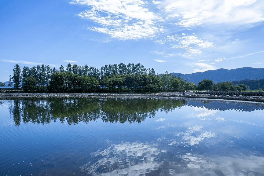 坚决扛起长江大保护政治责任 切实打好污染防治攻坚战——远安县生态