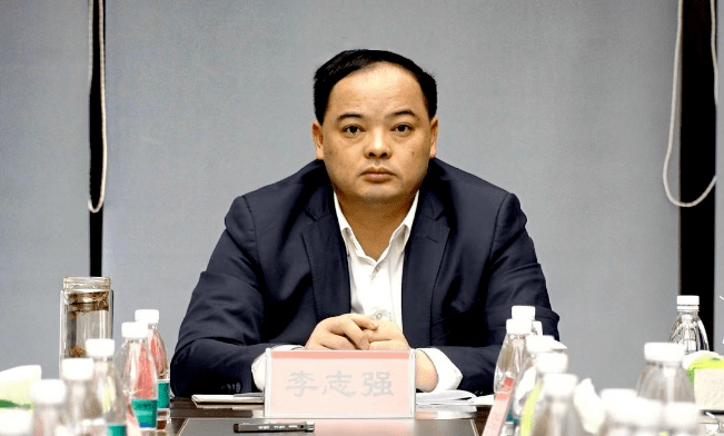 李志强调研桂阳高新区项目建设,消防安全,生态环保等工作暨开展"三送