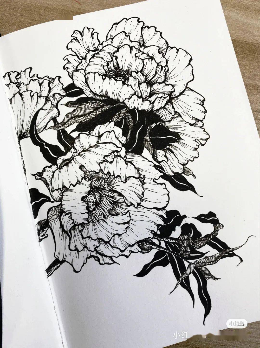 线描| 线条卷卷舞翩跹_作品_装饰_版权