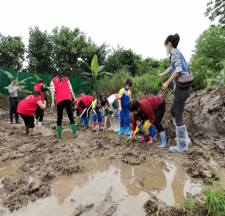 雨靴插秧踩泥图片