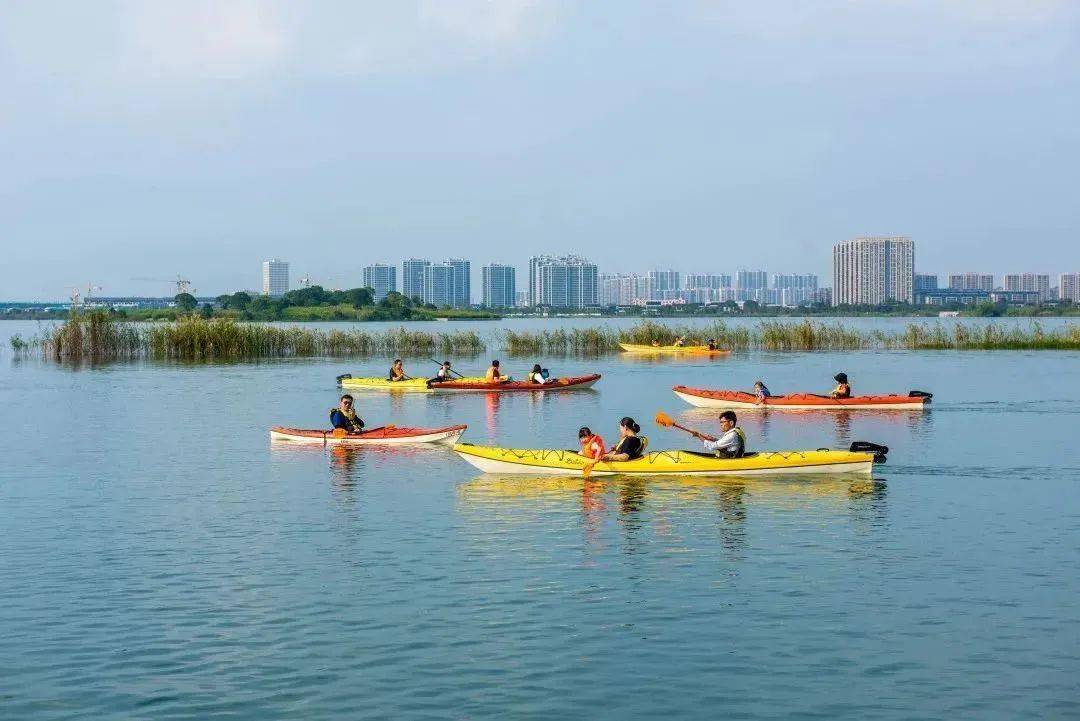 盛泽湖月季园,花都开好了!_健身_相城区_景区