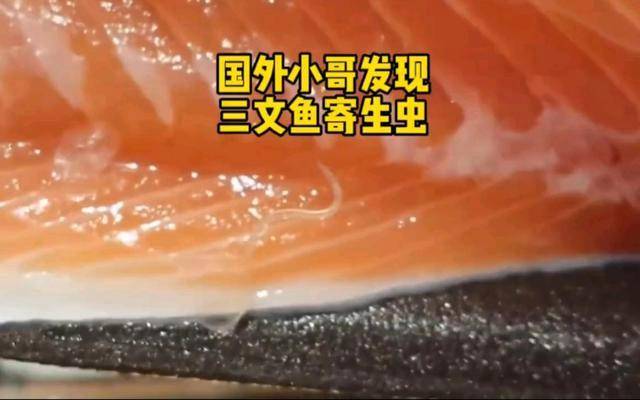 看看新鲜的三文鱼是什么样子!_寄生虫_风险_养殖