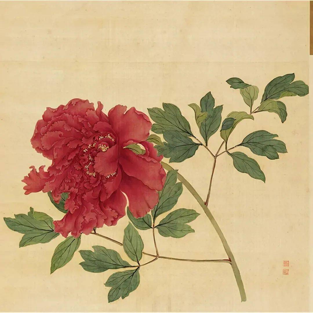 百种牡丹谱全图_白居易_颜色_人间