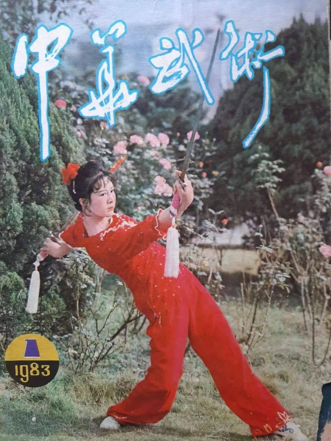 《温州当代文化名人名家|张小燕》_武术_表演_日本