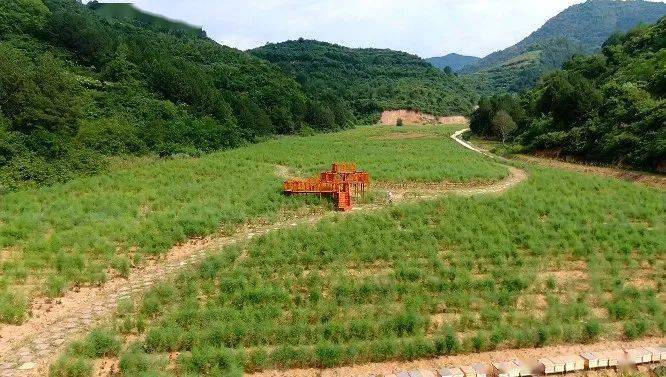 【文明创建】两当县杨店镇:高质量推进文明乡镇创建 绘就美丽乡村新