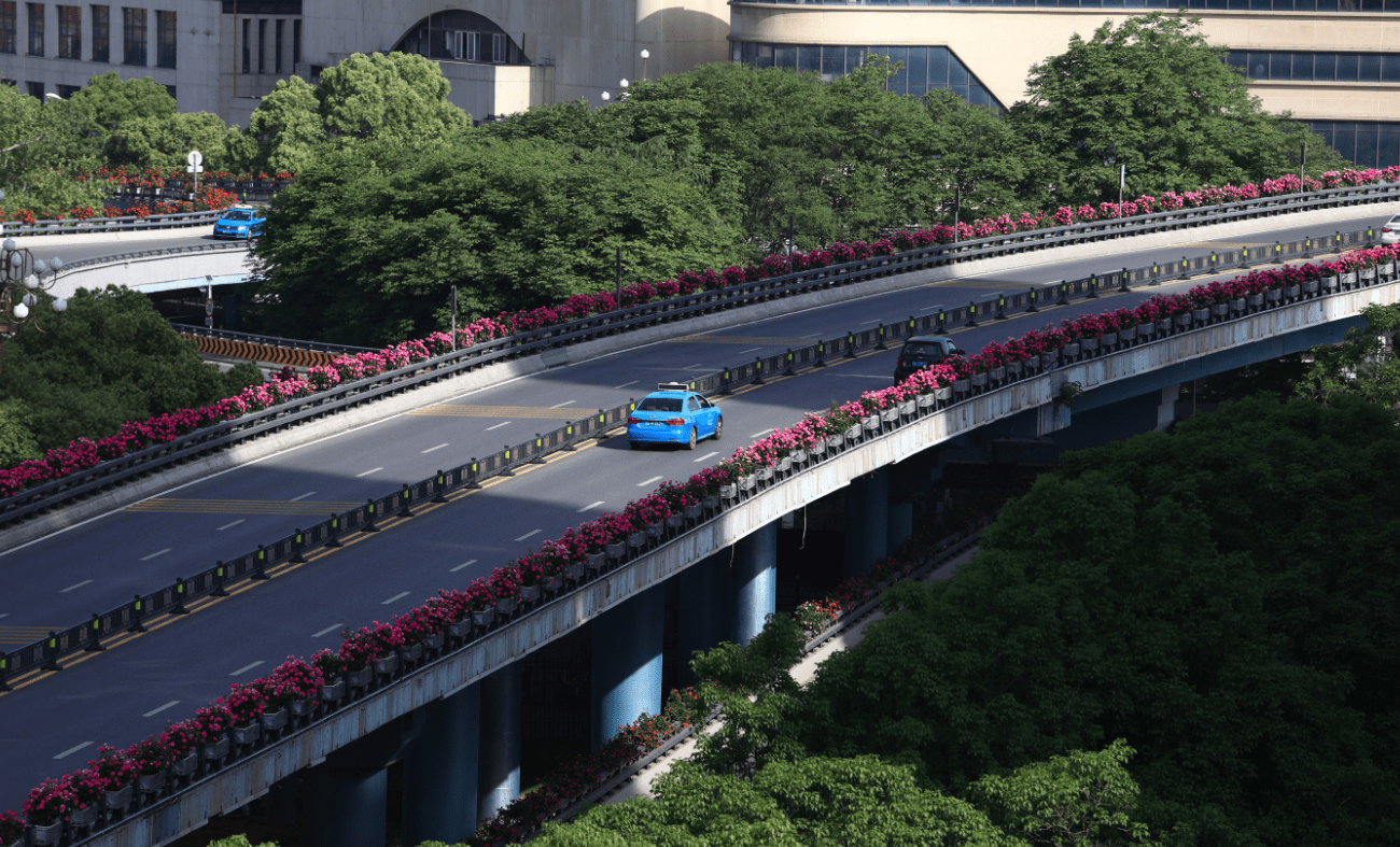 最美四月天,老福山—坛子口立交桥升级为南昌浪漫之路