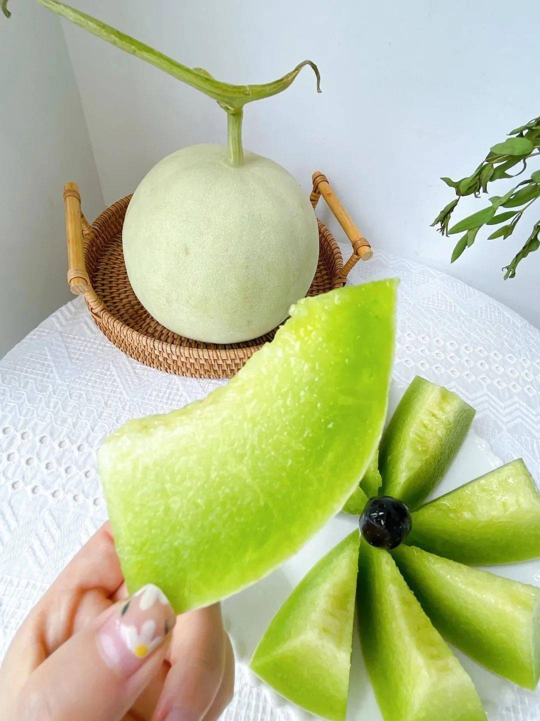 只剩下怡人心脾的甜,实在让人陶醉其中09犹如冰凉雪花般在口中慢慢