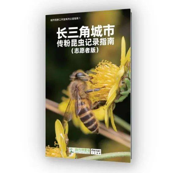 种子图片（种子图片简笔画可爱） 第7张