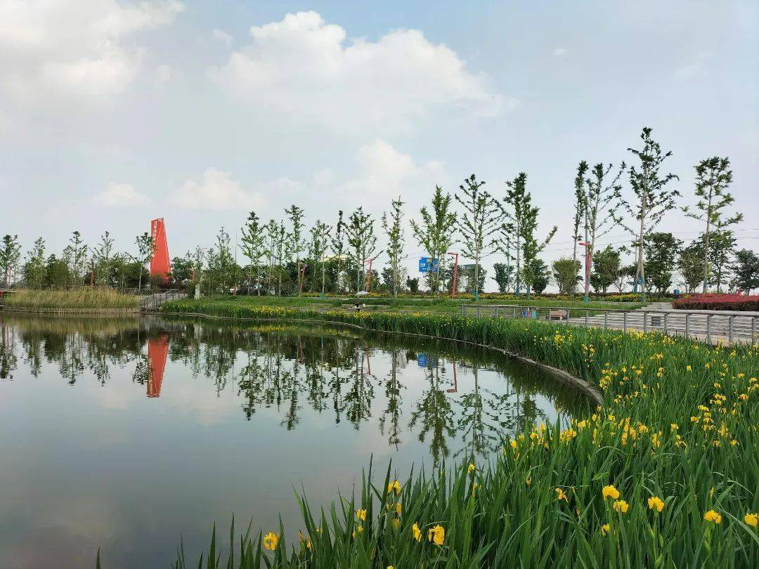 【农业农村】和美乡村入画来,三垛镇以优美的人居环境擦亮乡村振兴"