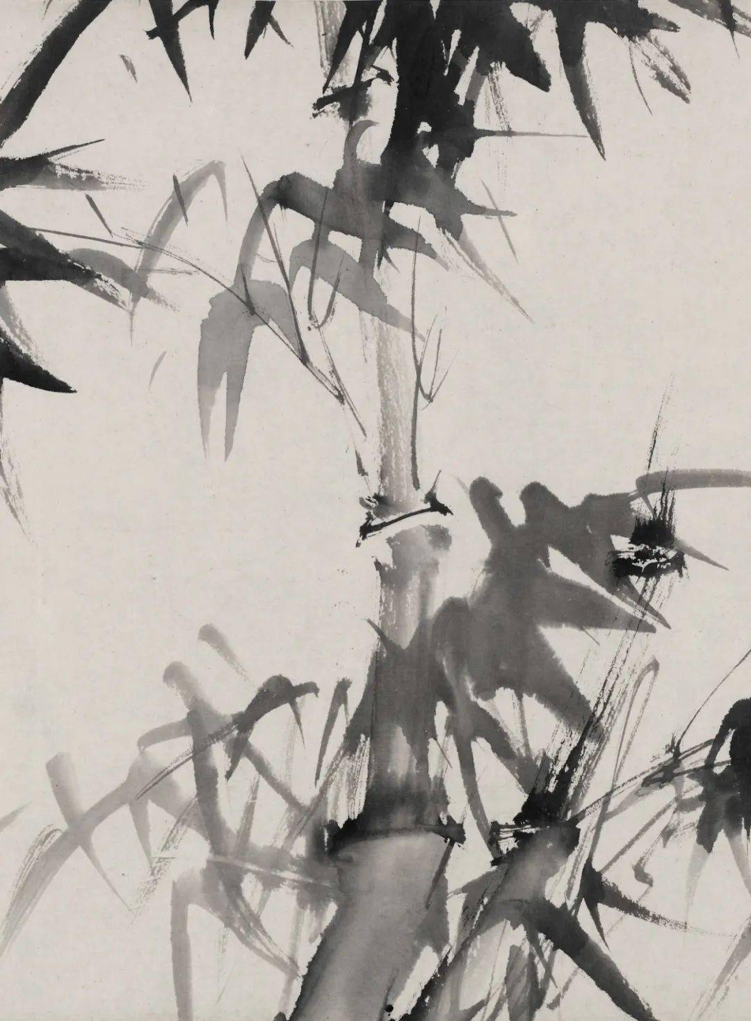 徐渭 竹子 徐渭画竹_搜狐网