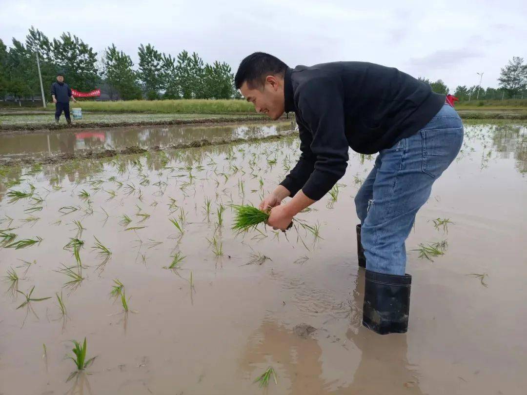 永新:谷雨时节 各地春耕生产有序推进_工作_高桥楼镇_秧苗