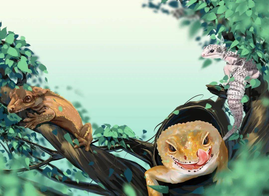 春未尽,夏初临丨蛇出没,请注意!_动物园_体型_天气