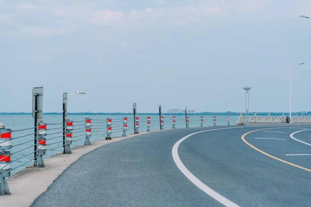 游览完启园,沿着环太湖1号公路继续骑行,一边是一望无际的太湖,一边是