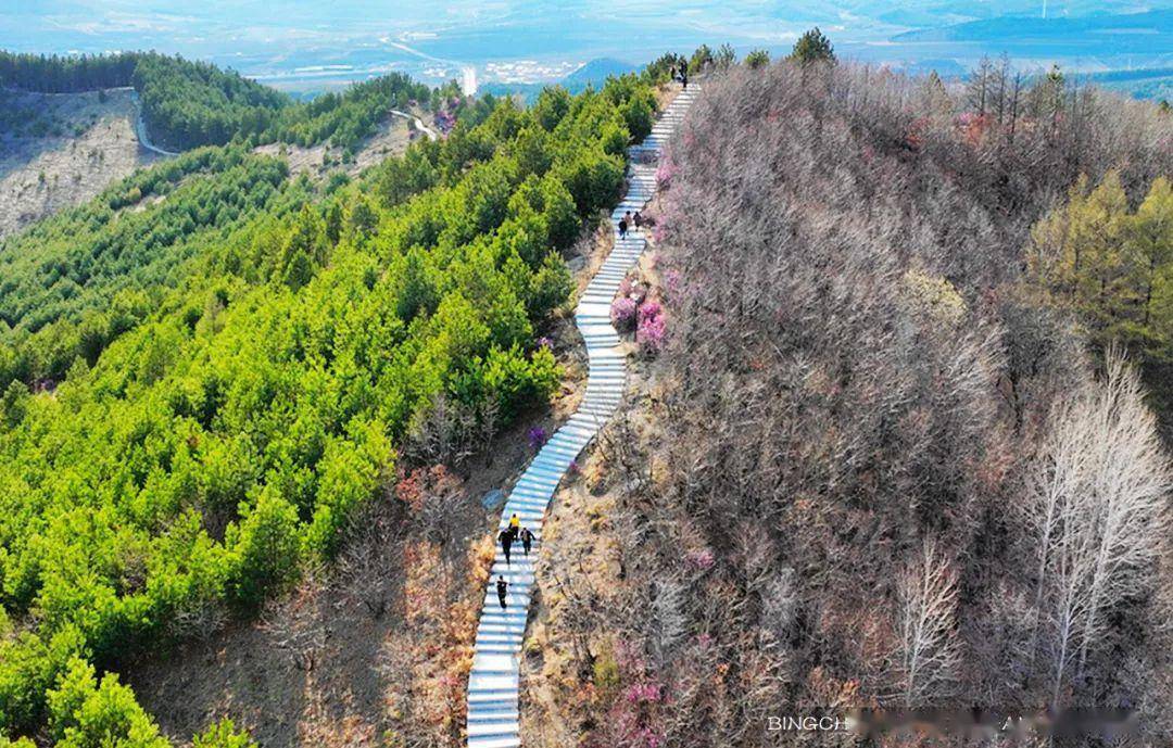 双鸭山紫云岭森林公园图片