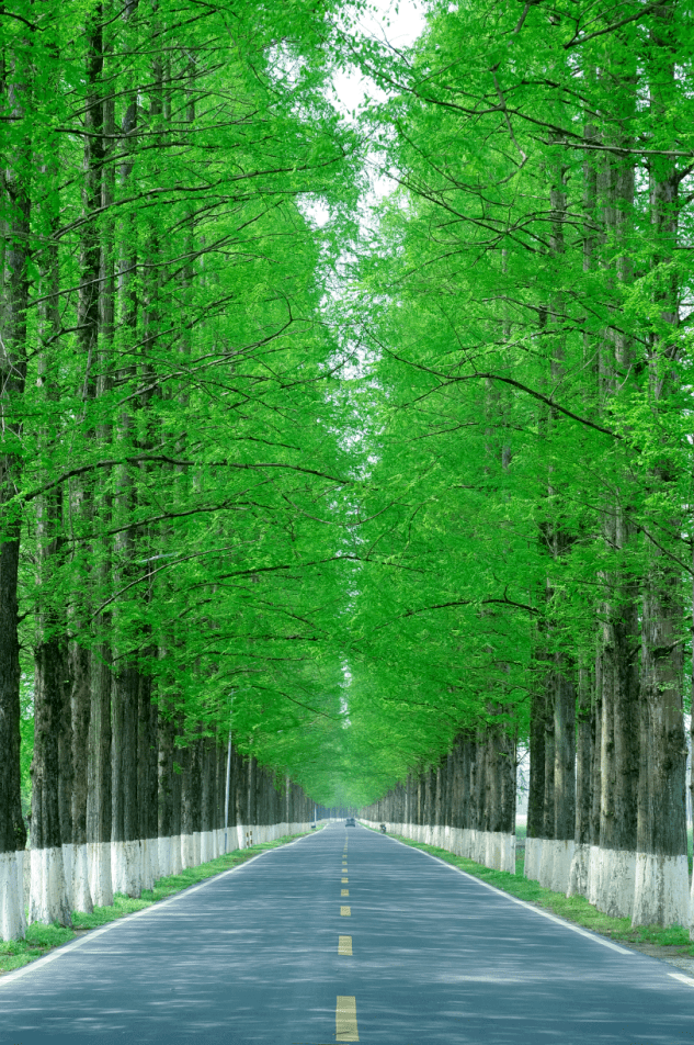 常山县g320至溪口公路△常山县常辉线至东乡△衢州市美丽沿江公 